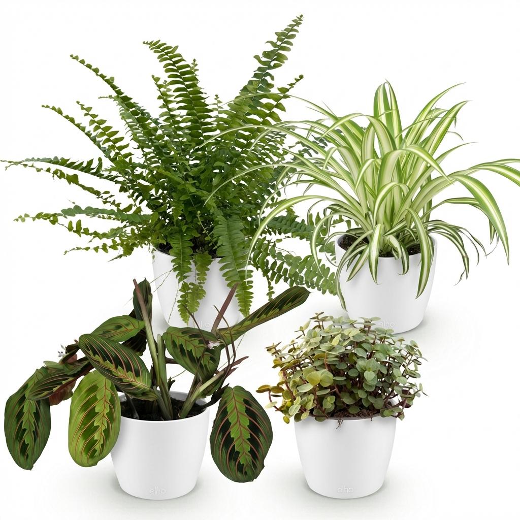 4× Callisia i hvid Potter-pyntepotte – Ø12 cm, 25 cm høj