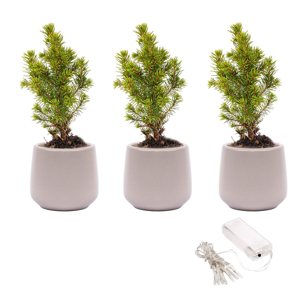 Mini-kerstboompjes in Joey-sierpot grijs – Ø7 cm