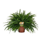 Nephrolepis Green Lady (sværdbregne) – Ø19 cm, 60 cm høj