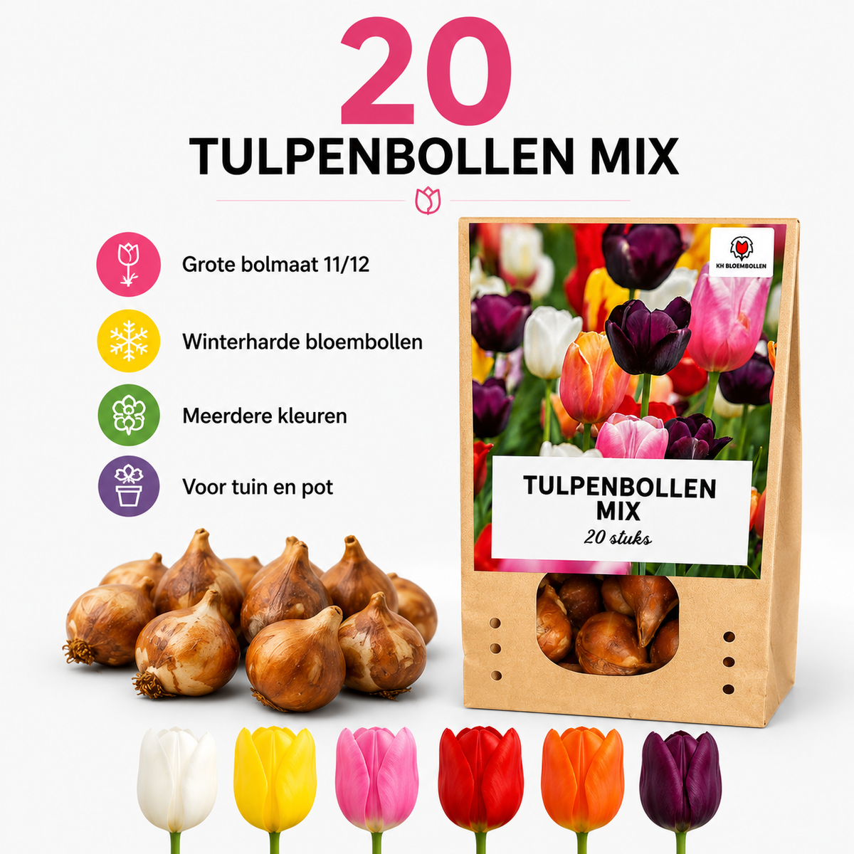 Tulpenmix – 200 Blumenzwiebeln (Zwiebelgröße 11/12)