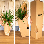10× Plantenmix – Ø12 cm, 30 cm hoog