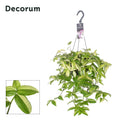 Tradescantia Yellow Hill – Ø17 cm, 40 cm hoog