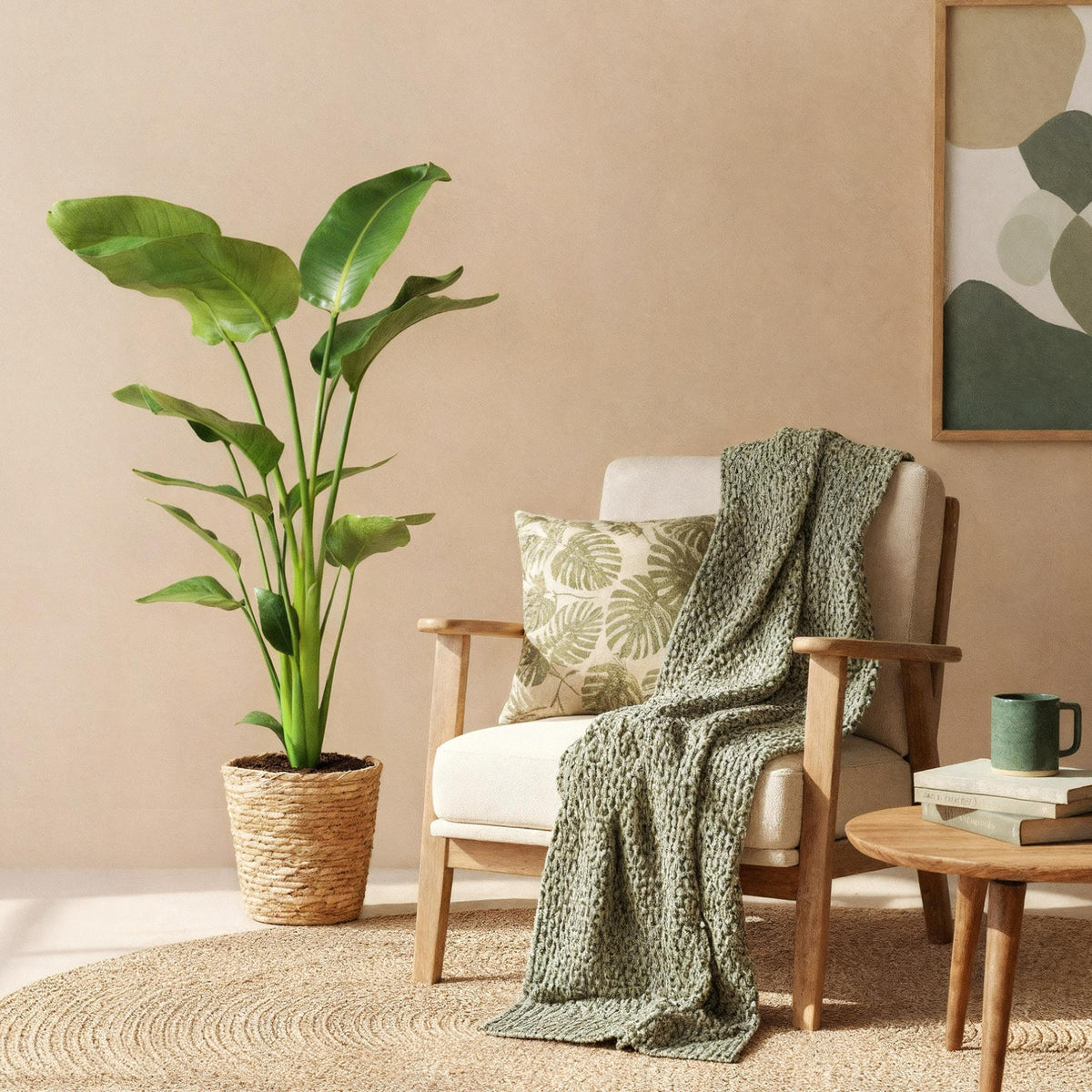 Stelitzia nicolai (Strelitzia) met mand – Ø21 cm, 110–120 cm hoog