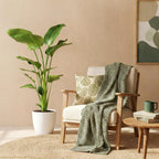 Strelitzia nicolai (white bird of paradise) in a white Potter decorative pot – Ø21 cm, 110–120 cm tall