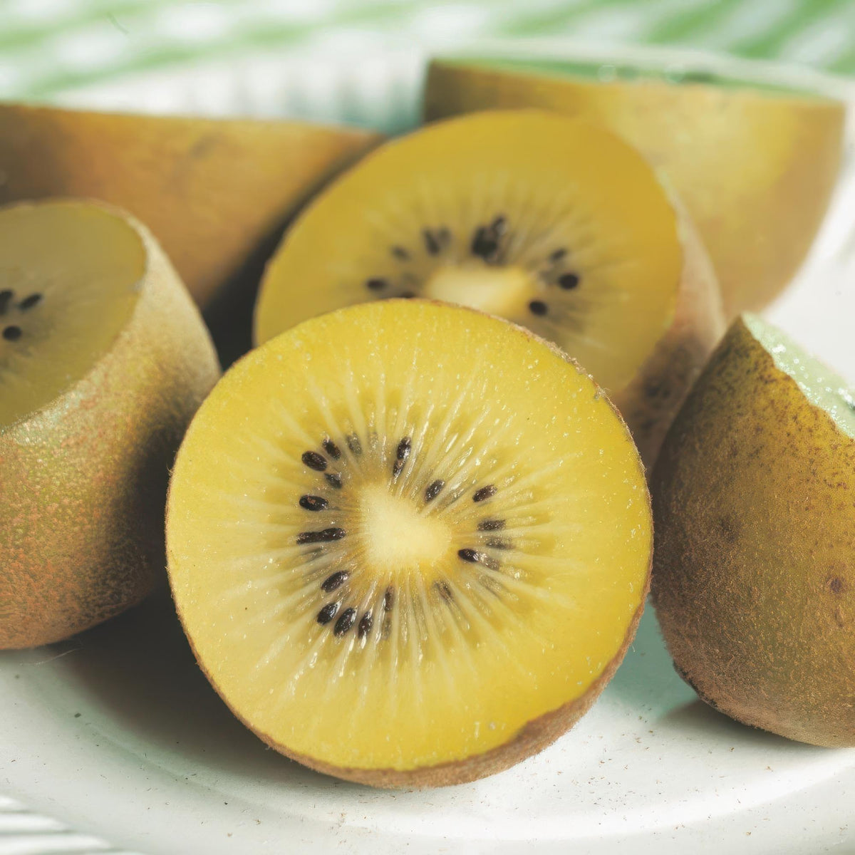 Actinidia 'Weiki &amp; Golden Kiwi' (Kiwipflanze) (1 männlich + 2 weiblich) – gelb – 3 Pflanzen, Ø 15 cm, 50 cm hoch – Bild 6