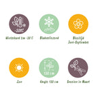 Molinia caer. 'Heidebraut' (molinia) – 12 plants, Ø11 cm, 15–25 cm de haut