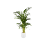 Pot elho Brussels Round Wit D30 x H27