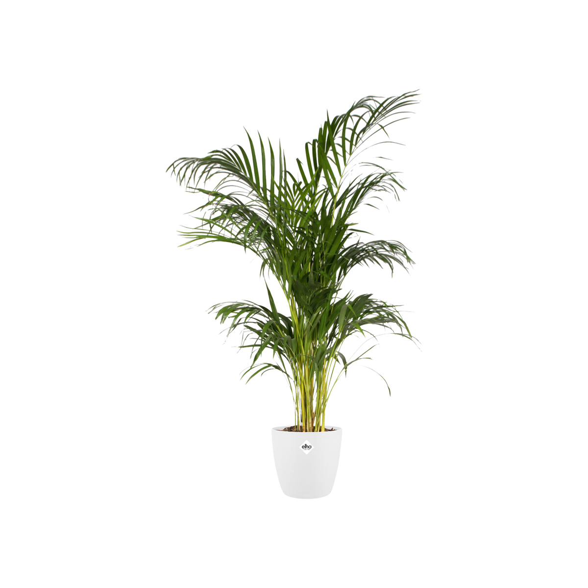 Pot elho Brussels Round Wit D30 x H27