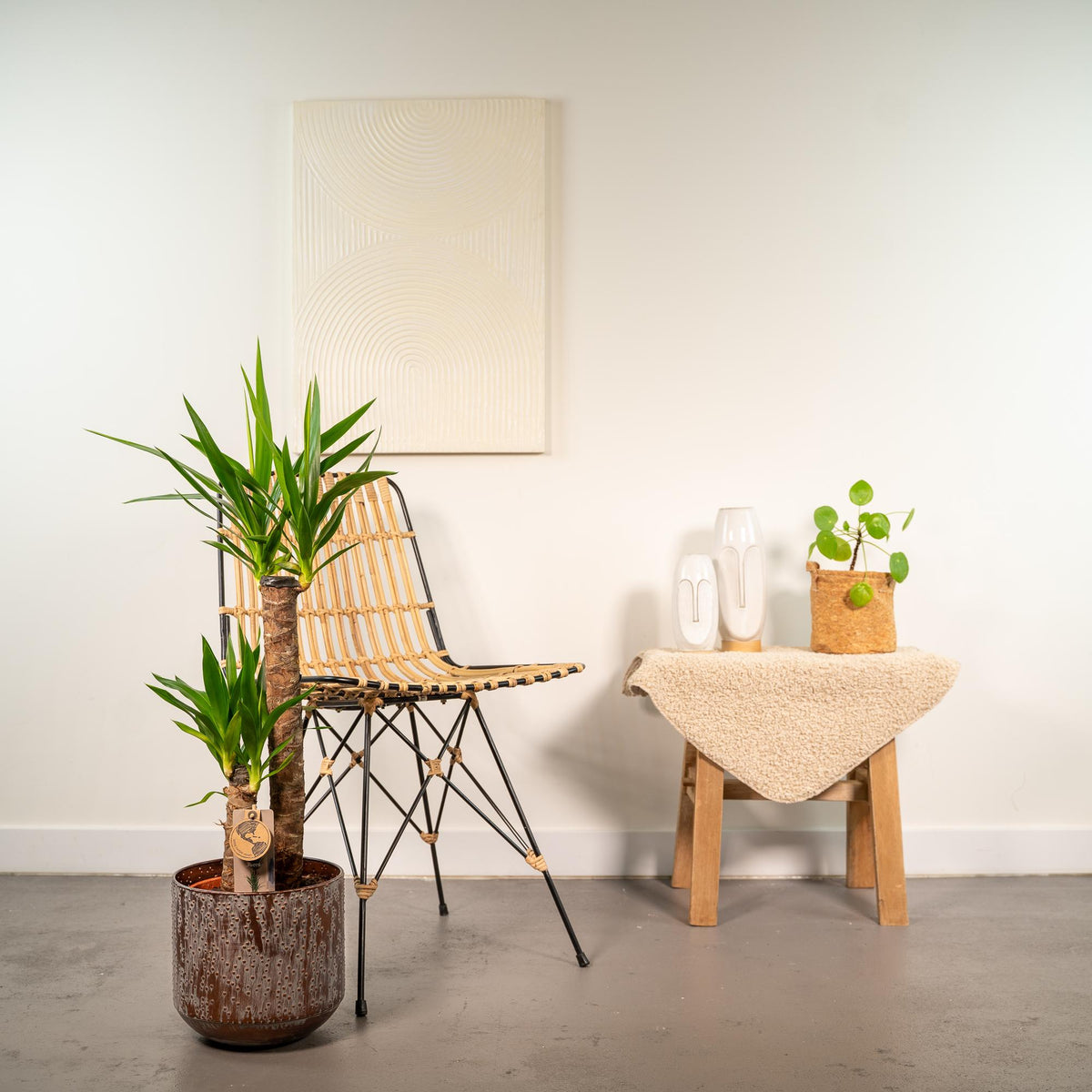 Yucca – Ø21 cm