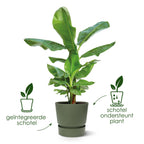 Blumentopf Greenville Round grün - D24 x H23