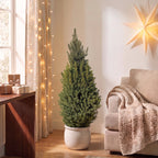 Picea glauca Conica (petit sapin de Noël) – Ø26 cm, 110 cm de haut