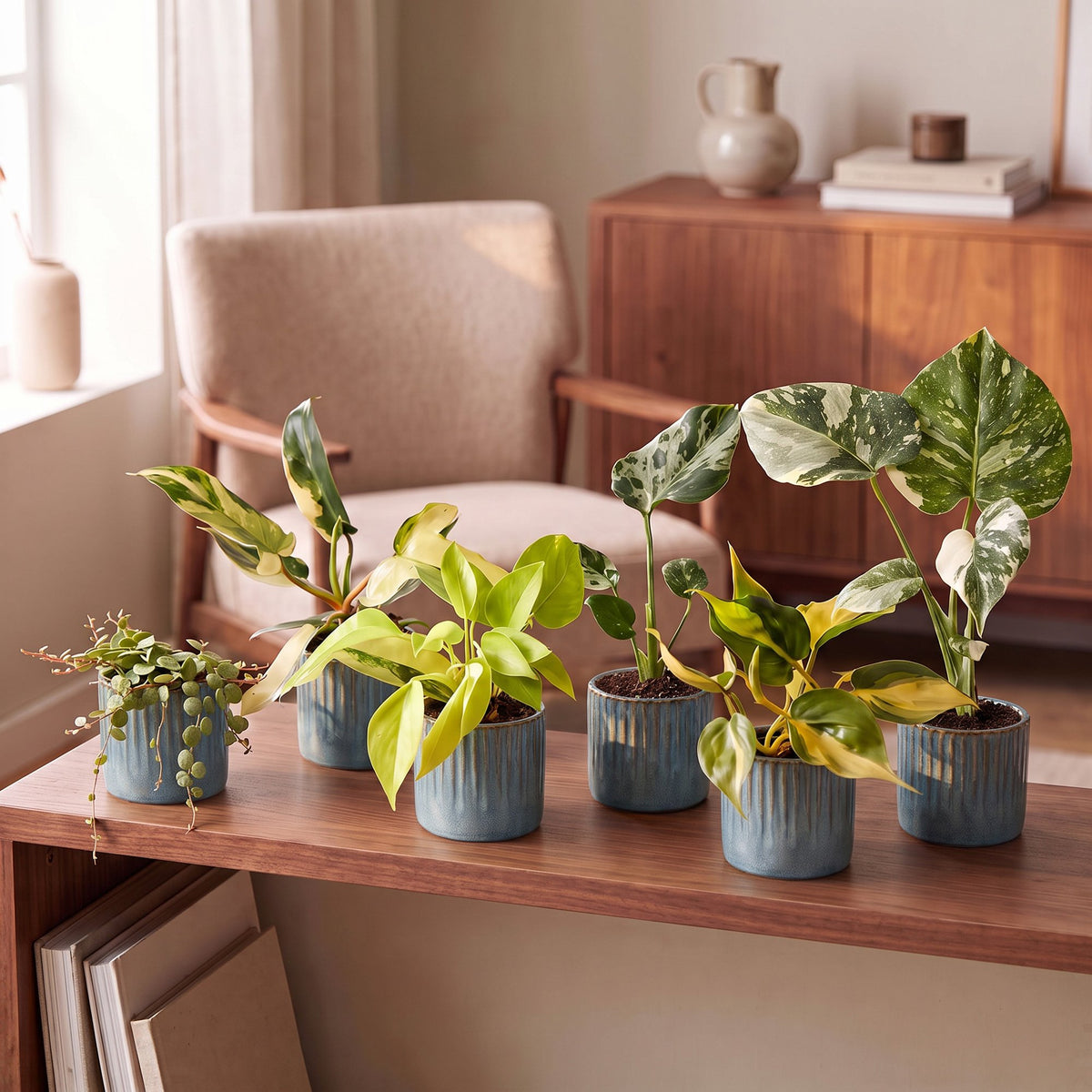 6× jeunes plantes Tropical Mix incl. Linnea Misty Blue – Ø6 cm, 10–15 cm de haut – photo 3