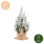 2× Picea glauca Conica (sapin de Noël) en sachet de jute – Ø19 cm, 65 cm de haut – blanc