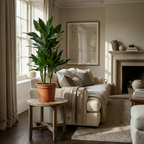Dracaena Janet Craig (drakenboom) – Ø21 cm, 90–100 cm hoog