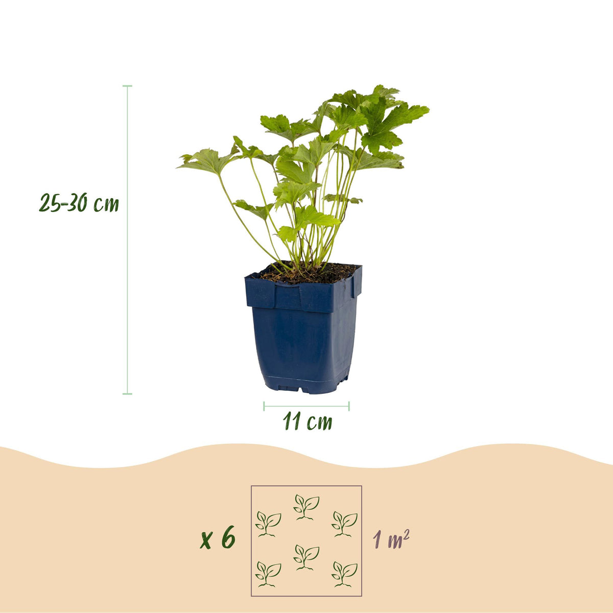Beeteinfassung Schatten – Ø11 cm, 25 cm hoch – Bild 3
