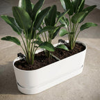 Elho Topf Greenville Easy Balkon D25cm - Weiß