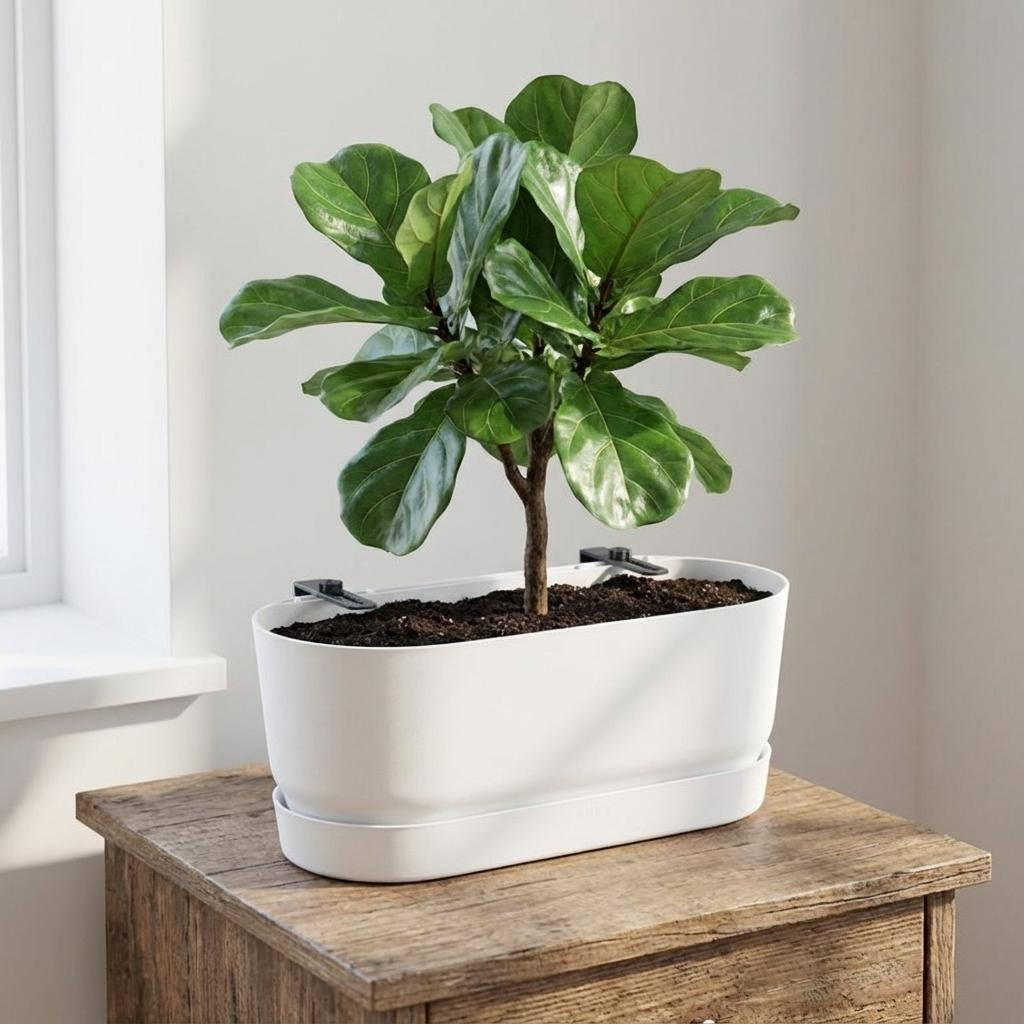 Elho Topf Greenville Easy Balkon D25cm - Weiß