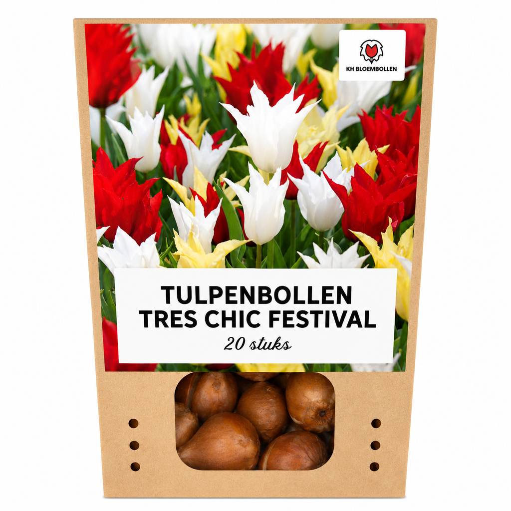 Tulpenmix 'Tres Chic' – 20 bloembollen (bolmaat 11/12)