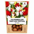 Tulpenmix 'Tres Chic' – 20 bloembollen (bolmaat 11/12)