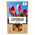 Tulipe 'Light and Dreamy' – 20 bulbes (calibre 11/12)