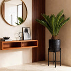 Cycas revoluta (sago palm) – Ø17 cm, 55–65 cm high