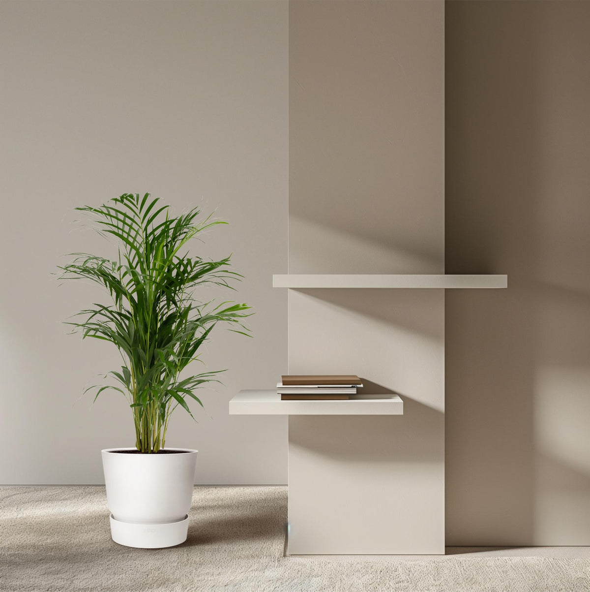 Areca palm (Dypsis) – Ø17 cm, 70 cm hoog