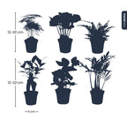 Plantenmix – Ø6 cm