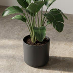 Elho B.for soft Anthracite - 18cm