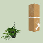 Epipremnum (scindapsus) – Ø15 cm, 45 cm høj
