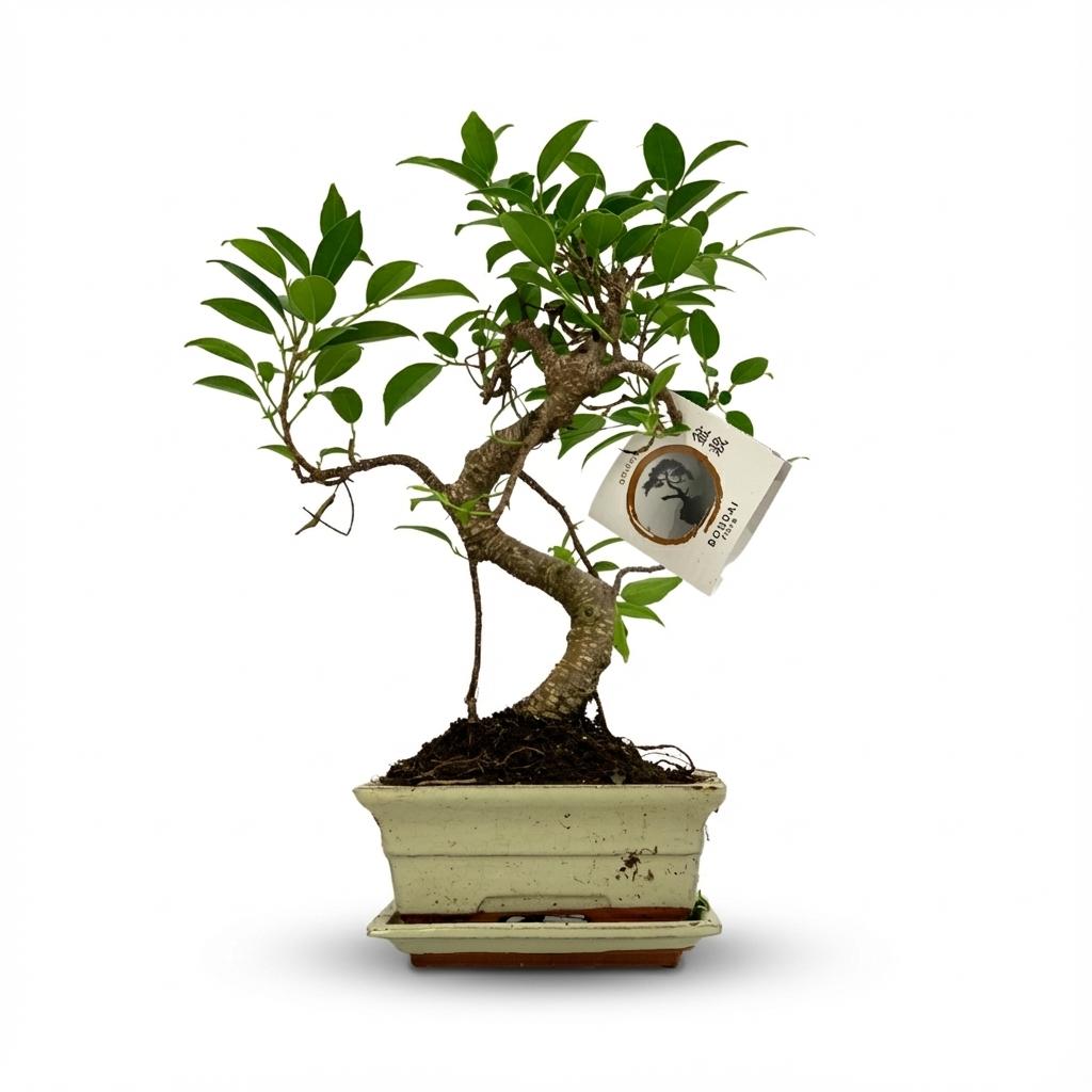 Plantenmix – Ø15 cm, 30–35 cm hoog