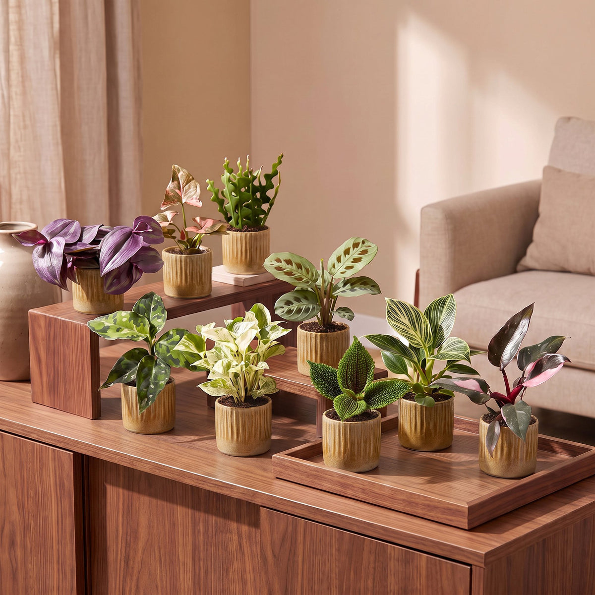 9× overraskelsesæske med stueplanter inkl. Linnea Honey – Ø6 cm, 5–15 cm høj