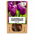 Tulp 'Purple Prince' – 20 bloembollen (bolmaat 11/12)