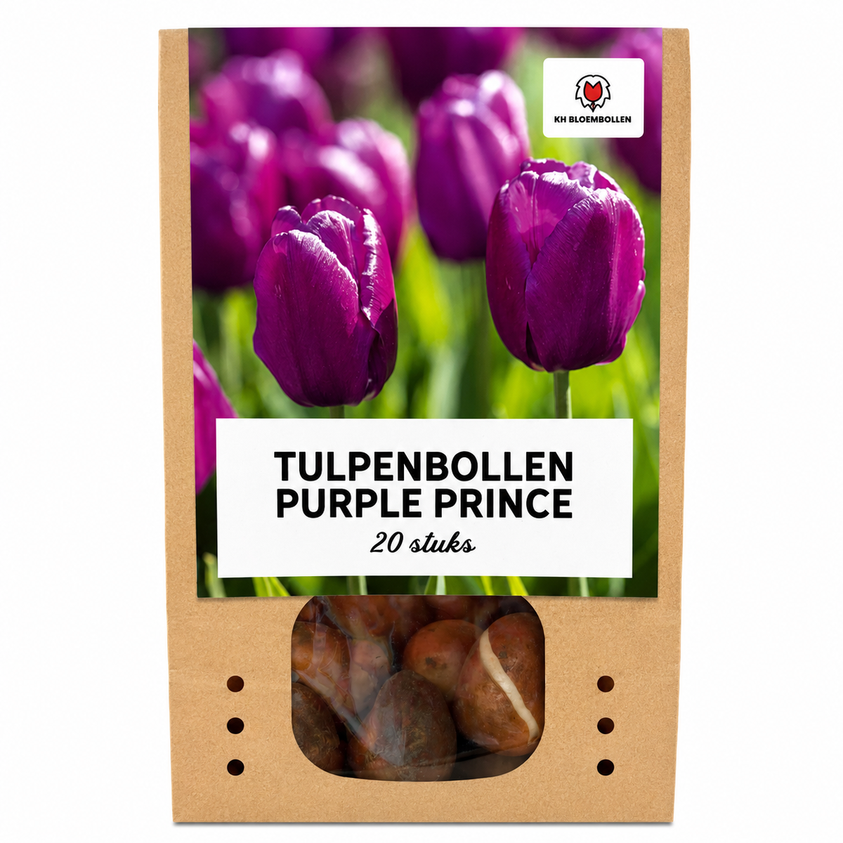 Tulp 'Purple Prince' – 20 bloembollen (bolmaat 11/12)