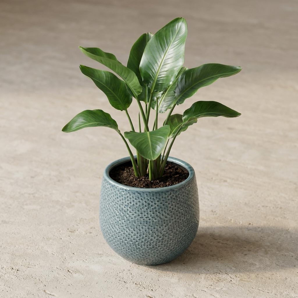 Pot Gabriel rond bleu D14