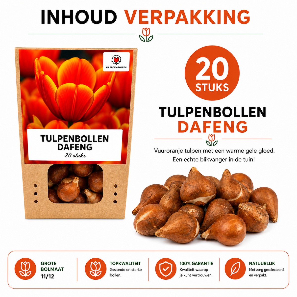 Tulp 'Dafeng' – 20 bloembollen (bolmaat 11/12)