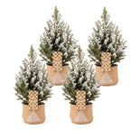 4× Picea glauca Conica (julegran) i jut sæk – Ø17 cm, 65 cm høj – hvid