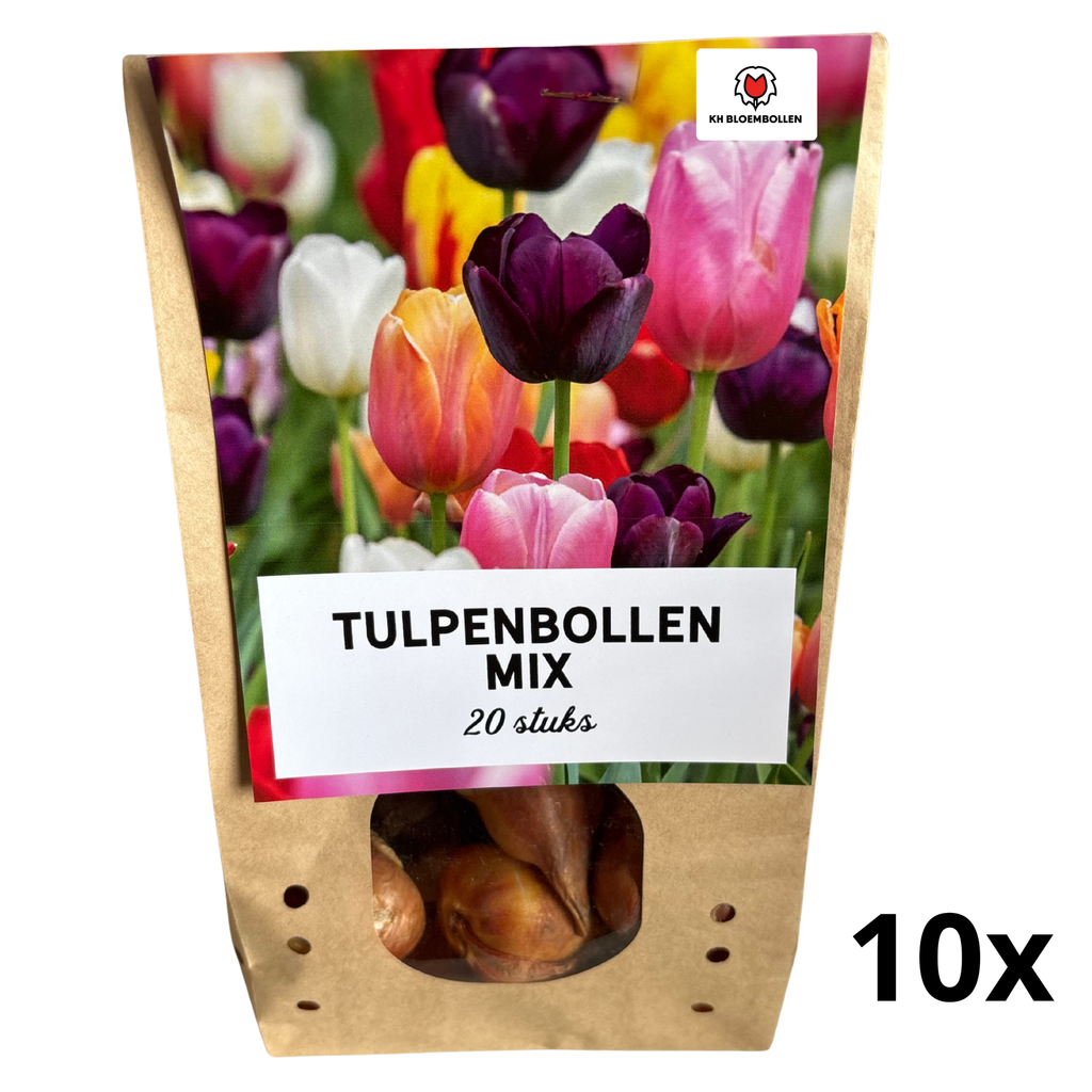 Tulpenmix – 200 bloembollen (bolmaat 11/12)