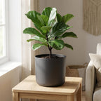 Elho B.for soft Anthrazit - 22cm