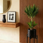 Yucca elephantipes – Ø17 cm, 75 cm hoog – art. 54723