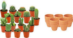 15× Mini Cactus Mix (Cactaceae) – Ø8 cm, 5–10 cm hoog