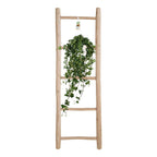 Hedera Helix Pitsburg (vedbend) – Ø17 cm, 90 cm høj
