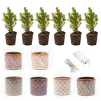 Mini-kerstboompjes in pot set madrid – Ø7 cm – led lights