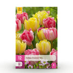 Mélange de tulipes 'Foxtrot' – 12 bulbes (calibre 11/12)
