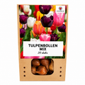 Tulpenmix – 20 bloembollen (bolmaat 11/12)