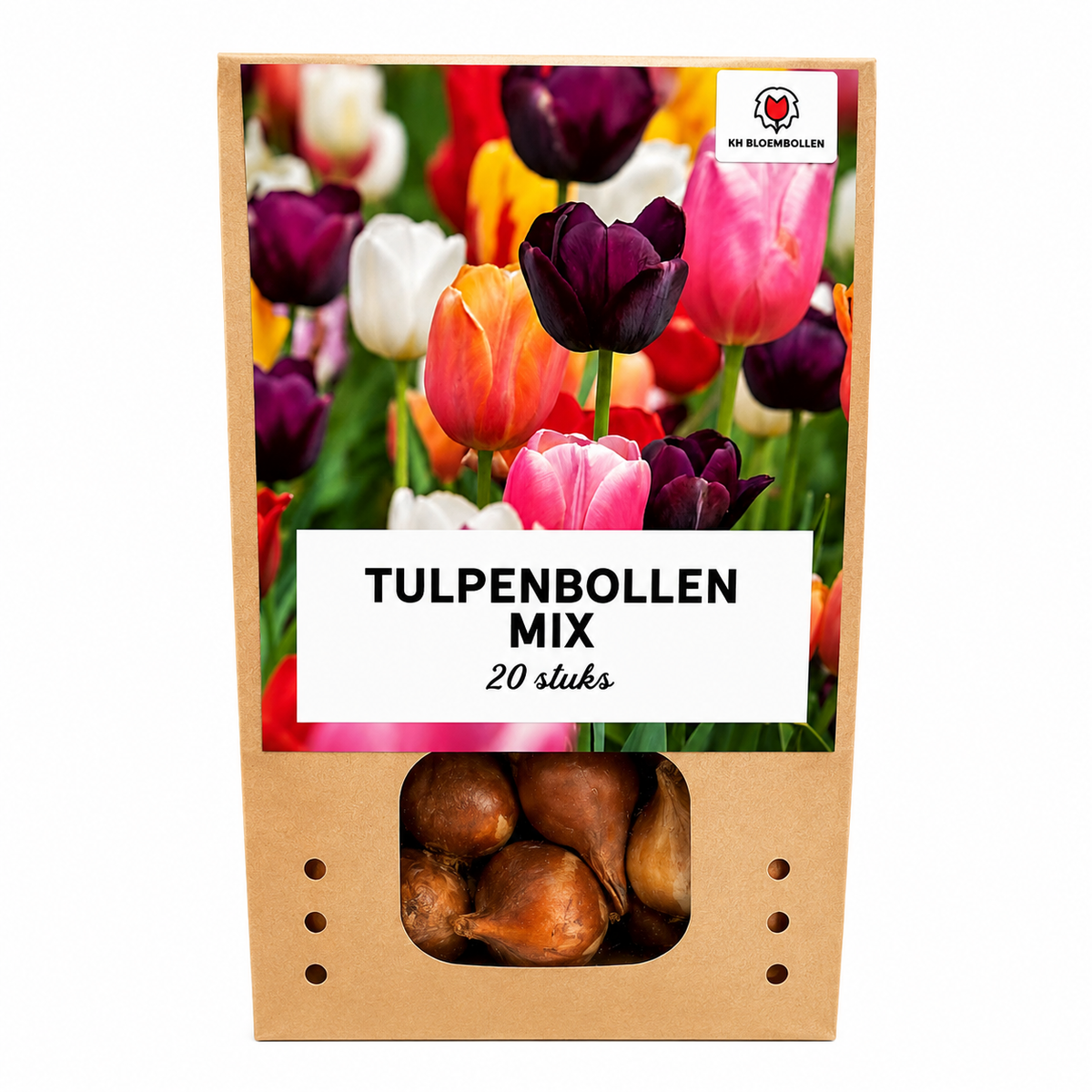Tulpenmix – 20 Blumenzwiebeln (Zwiebelgröße 11/12)