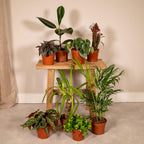 8× Plantemiks – Ø12 cm, 30 cm høj