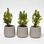 Mini-kerstboompjes in Joey-sierpot grijs – Ø7 cm