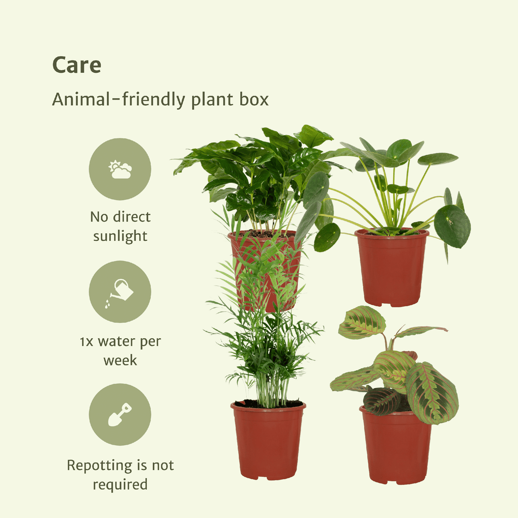 4× Plantemiks – Ø12 cm, 20–40 cm høj – dyrevenlig