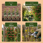 Lonicera × brownii 'Dropmore Scarlet' (kamperfoelie) – geel-rood – Ø9 cm, 35 cm hoog