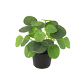 Kunst Pilea Peperomioides – 17,5 cm | Pannenkoekenplant